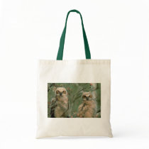 Young Great Horned Owls Canvas Bag