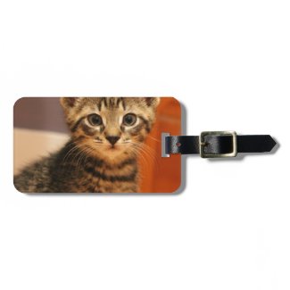 Young Grey Kitty Cat Luggage Tag