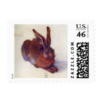 Young Hare by Albrecht Dürer Postage