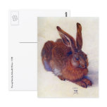 Young Hare by Albrecht Dürer Postcard