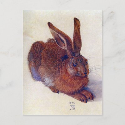 Young Hare by Albrecht Dürer Postcard
