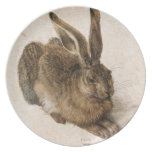 young hare,albrecht durer,fine