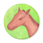 Young horse in watercolor magnets