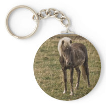 Young horse keychains