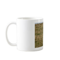 Young horse mugs