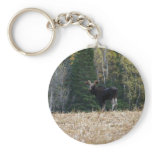 Young   key chain