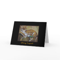 Young Leopard cards by klocke Young Leopard cards