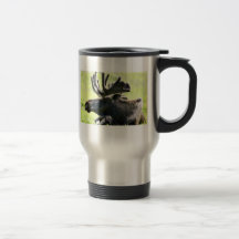 Young moose coffee mugs