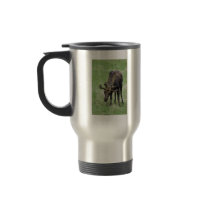 Young moose eating grass mug