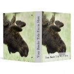 Young moose grazing in a field binders