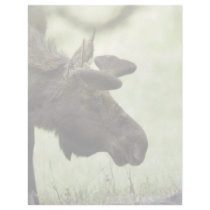 Young moose grazing in a field custom letterhead