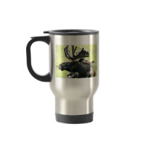 Young moose coffee mugs