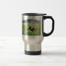 Young moose mugs