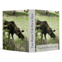 Young moose walking binders