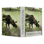 Young moose walking binders