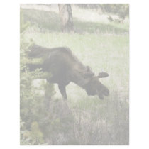 Young moose walking customized letterhead