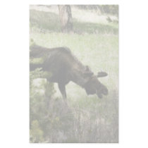 Young moose walking stationery design