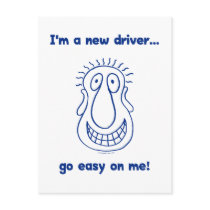 Young New Teen Driver