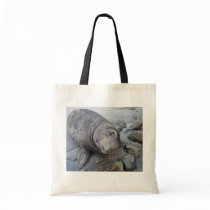 Young Northern Elephant Seal bags by wildlifehotspots Young Northern Elephant Seal bags