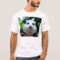Young Opossum t-shirts