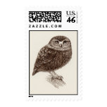Young Owl Stamps (Medium)