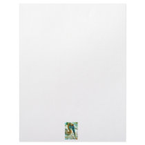 Young pelican head shot, high saturation color letterhead