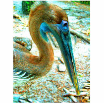 Young pelican head shot, high saturation color photo cut outs