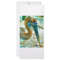 Young pelican head shot, high saturation color customized rack card