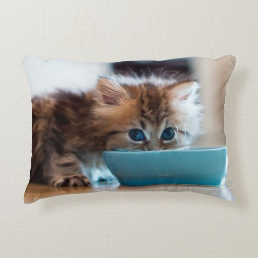 cat themed pillows