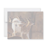 Young piebald deer personalized announcements