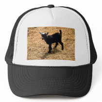 Young Pigmy Goat Trucker Hats