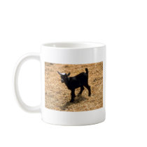 Young Pigmy Goat Coffee Mug