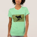Young Pigmy Goat Tee Shirt