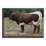Young Pinzgauer Bull- customize any occasion Cards