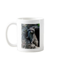 Young Raccoon Mug
