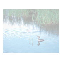 Young Rednecked Grebe Invitations