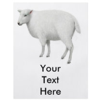 Young Sheep Flyer