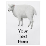 Young Sheep Flyer
