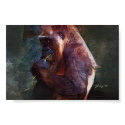 Young Silverback Gorilla posters by mrsmas Young Silverback Gorilla posters
