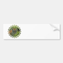 Young Tiger Cub  Bumper Sticker