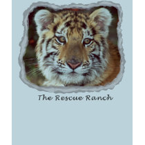 young tiger t-shirts by rescue_ranch young tiger t-shirts