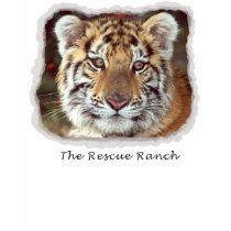 young tiger t-shirts