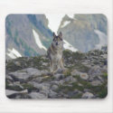Young wolf mousepads by tompurse Young wolf mousepads