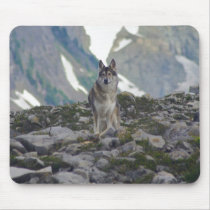 Young wolf mousepads by tompurse Young wolf mousepads