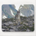 Young wolf mouse mat