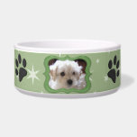 Your A Star Dog Dish - Customize Photo Dog Food Bowls