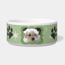 Your A Star Dog Dish - Customize Photo Dog Food Bowls