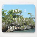 Your a tropical bueaty mousepads by mystuff4me Your a tropical bueaty mousepads