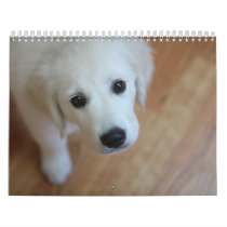 Your adorable pet calendar