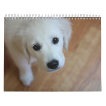 Your adorable pet calendar